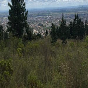 火影18 游戏手游入口
