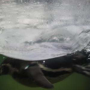 火影18 游戏手游入口
