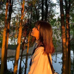 火影18 游戏手游入口
